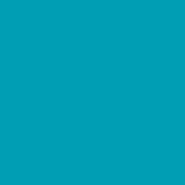 Aqua Marine Flowy Tunic Tops