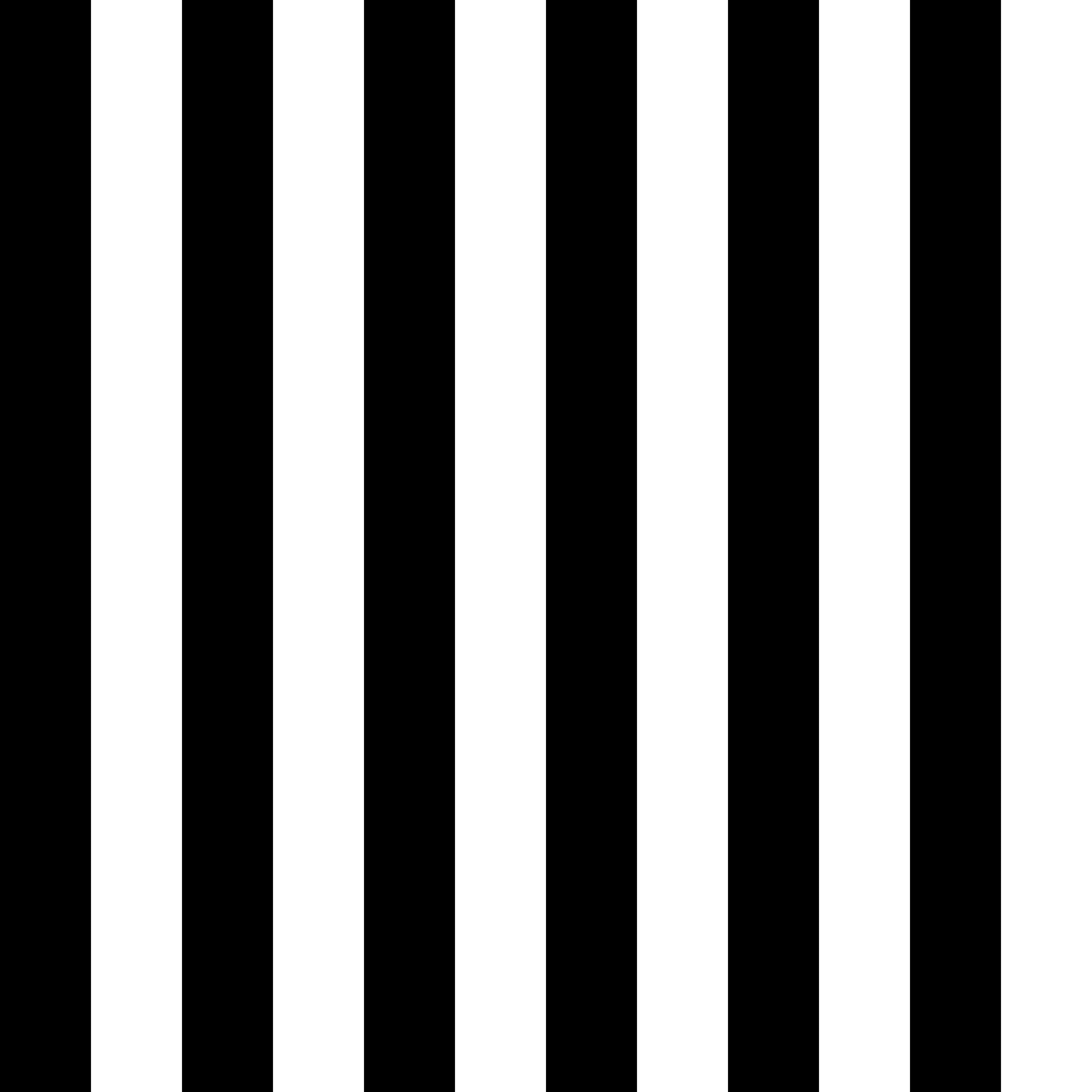 Pre-Order B & W Stripe Skort W/Pockets - Due to arrive mid/late August 2025