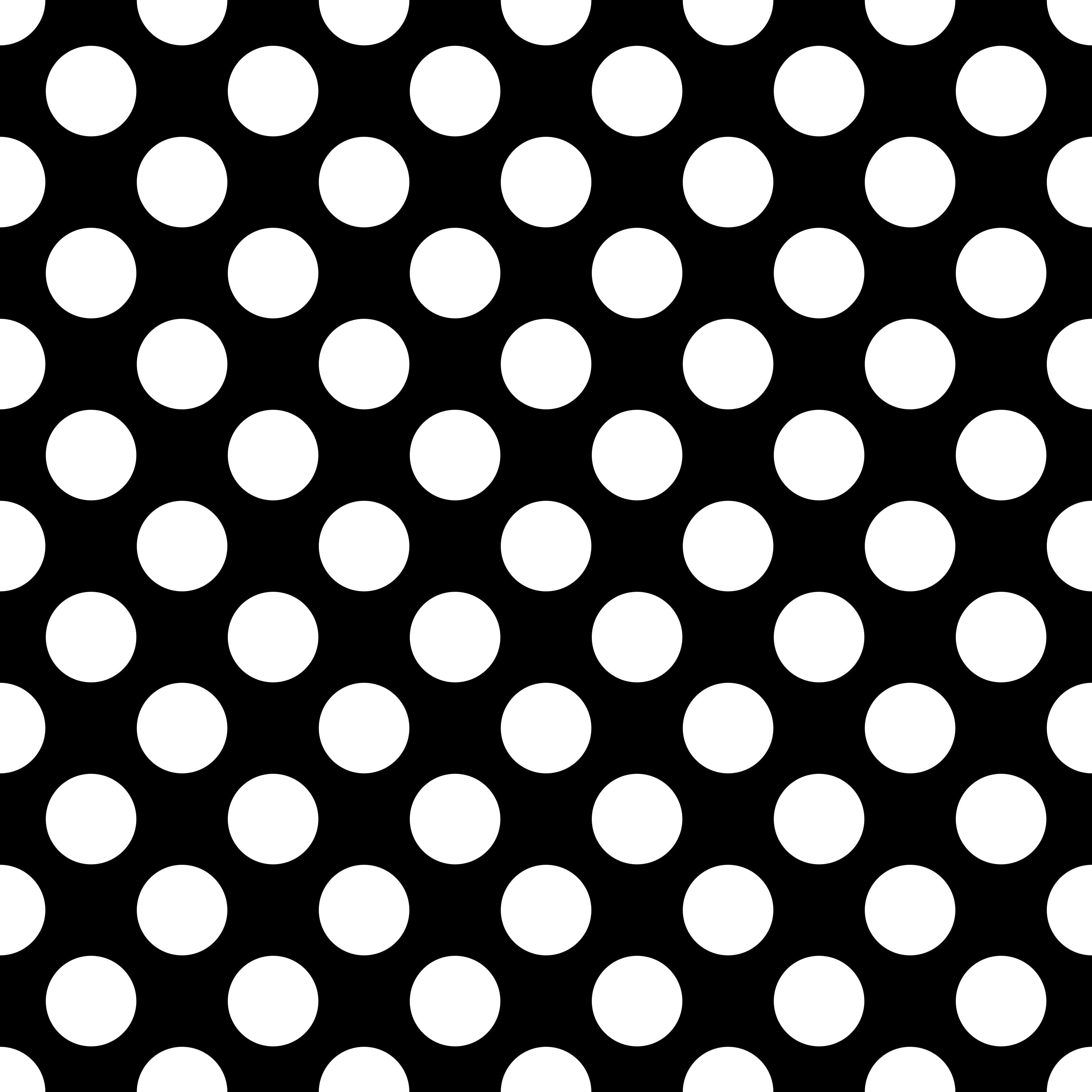 Pre-Order Polka Dot Skort W/Pockets - Due to arrive late June/early July 2025